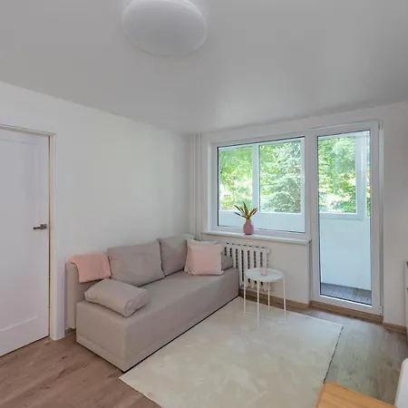 Apartment Convenient With Balcony By Polo Kaunas