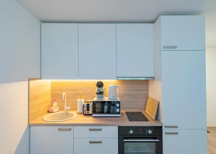 Convenient With Balcony By Polo Kaunas