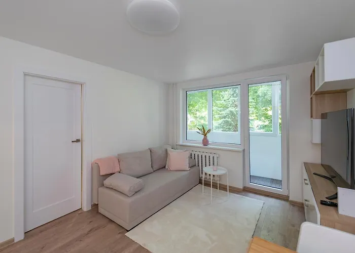 Apartamento Convenient With Balcony By Polo Kaunas